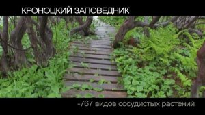 Дикая природа Камчатки - Кроноцкий заповедник