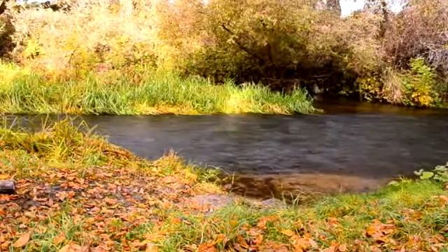 Спокойная мелодия река ведуга смотреть онлайн