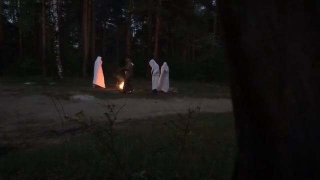 Секта в лесу Орехово-Зуево.