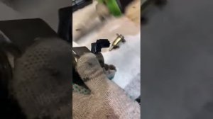 Разбор клапана vvt-i 2jz-ge ч.1