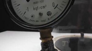 ЧТО ЕСЛИ БОГОМОЛА ПОМЕСТИТЬ в ВАКУУМ ?!