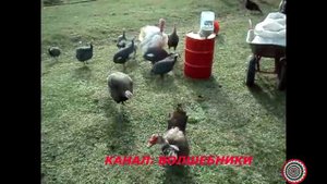 Новое ВЕЧНОЕ??? Сито Зернодробилки Сами Бесплатно!!! Крутое НЕУБИВАЕМОЕ Новое Сито Своими Руками