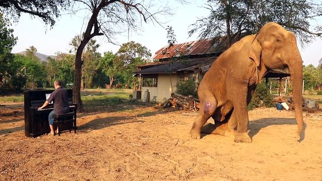 Piano Fanfare for an Romsai the bull Elephant смотреть онлайн