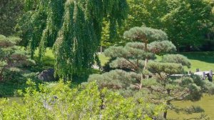 Montreal Botanical Garden 3/4 - Japanese Garden - First Nations Garden - Montreal - Quebec - Canada