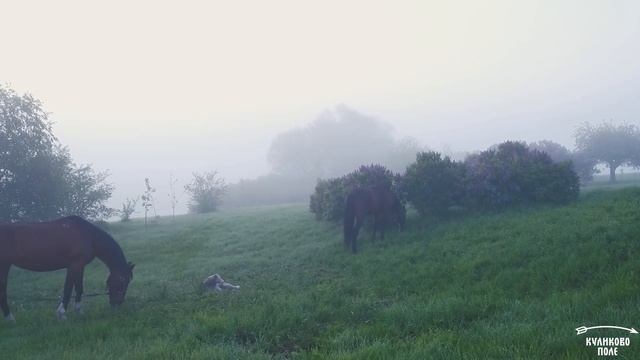 Монастырщино: история села смотреть онлайн