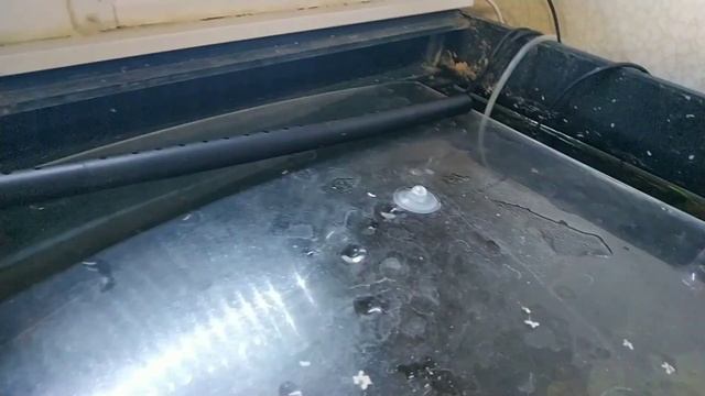 Внешний фильтр для аквариума BARBUS 105. Обзор. смотреть онлайн