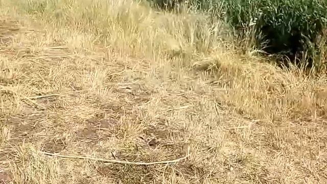 Ремонт телевизора смотреть онлайн