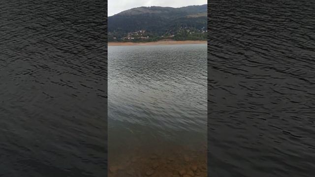 Pastrmka Mavrovo Ivan