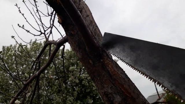 Почему я не родилась мальчиком? Муж стал маленьким, не достает до подоконников смотреть онлайн