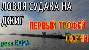 ЛОВЛЯ СУДАКА НА ДЖИГ. ОСЕННИЙ СУДАК НАЧАЛСЯ. РЕКА КАМА. ВЗЯЛИ ТРОФЕЙ.