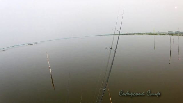 Бешенный Клёв Окуня и Плавующий Козёл Варган из ЕКБ смотреть онлайн