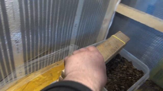 Яйцесборник для мух Черной-Львинки. смотреть онлайн