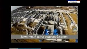 Экзотическая для России рыба телапия получила прочную прописку в Астраханской области