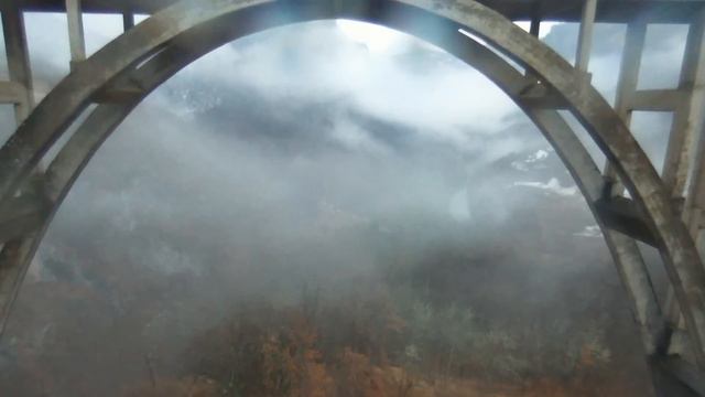 Montenegro смотреть онлайн