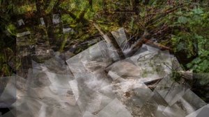 Музыка счастья, гармонии, умиротворения. Активизирует гормоны радости эндорфин, серотонин, дофамин