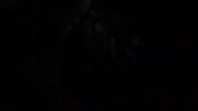 Магический помощник “Эмилия – Двойная Защита” (с подселением)