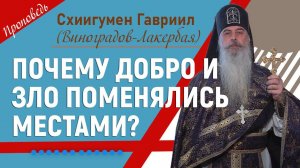 Почему добро и зло поменялись местами? Проповедь отца Гавриила. Верую @user-gw3kj1lb7j