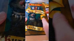 обзор на книги котов воителей чееееек😅