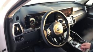 Как заводится новый дизельный KIA Sorento в мороз.