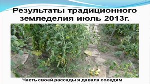 Практика природного земледелия