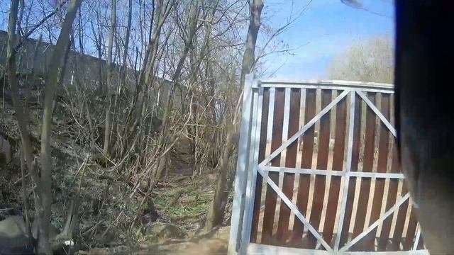 Звериными тропами из Коренёво в Москву