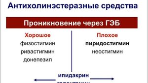 Миастения.mp4