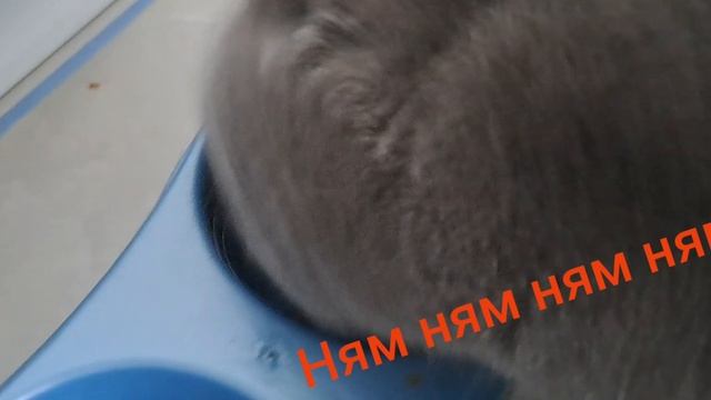 Мне вкусненько)