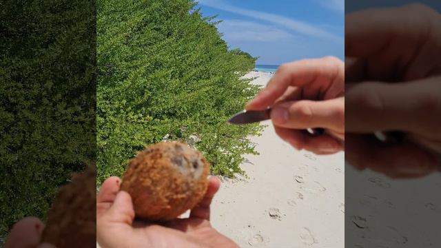 чистим плод кокоса смотреть онлайн