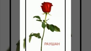 Р дыбысы мен әрпі. Сауат ашу.