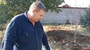 ПРОДАЖА КРАСНЫХ КАЛИФОРНИЙСКИХ ЧЕРВЕЙ/ + 1 Вермифермер.#биогумус #черви #земля #компост.