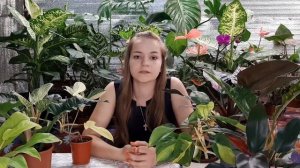 ФИЛОДЕНДРОН/УХОД И ВЫРАЩИВАНИЕ