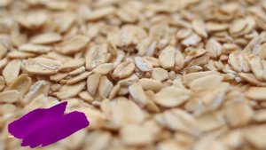 Развитие Плода 1- 9 Неделя Беременности.  Беременность