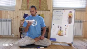 Бхавишья Пурана. Роман Косарев