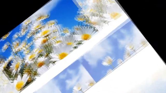 Евгений Марков. Песенка твоя смотреть онлайн