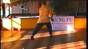 Чоу Гар Южный богомол 18 плавающих драконов. Ч 1