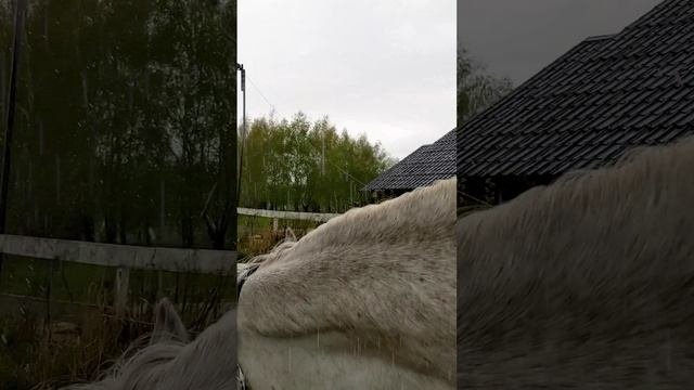 Когда тебя ждут в любую погоду, в любое время дня и ночи.  ?♀