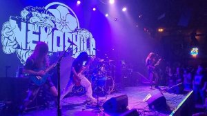 NEMOPHILA Medley / ZEN / NEMOPHILA U.S. Tour 2023