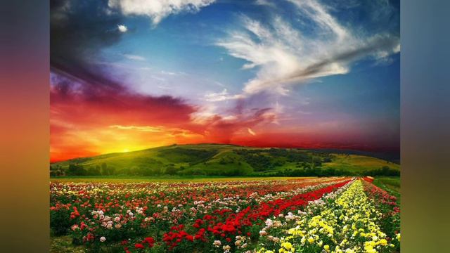 Вільям Шекспір "Сонет 130" смотреть онлайн