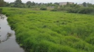 НАШ ЖИВОПИСНЫЙ КРАЙ. ВЕДЬМИНА ИЗБА ▶️ ИНГА ХОСРОЕВА.