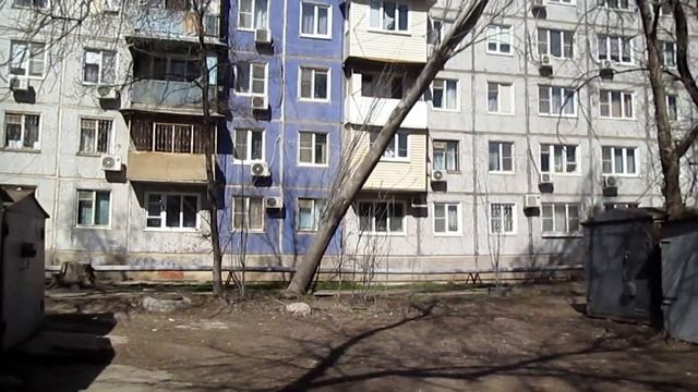Астрахань,Набережная Казачьего Ерика, 149.... Дерево задумалось...