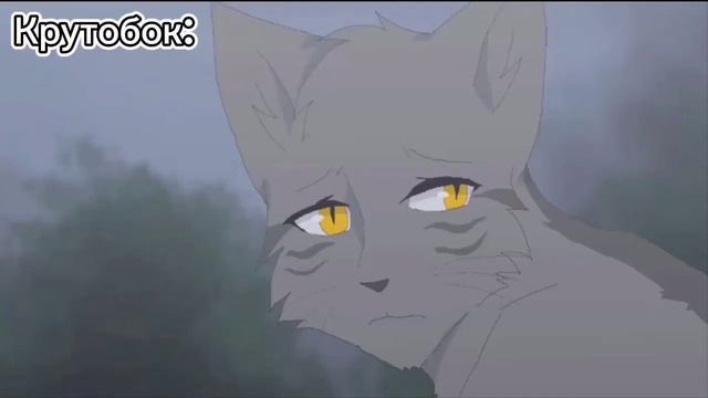 пов: Огнезвёзд рассказывает Крутобоку о предательстве Когтя смотреть онлайн