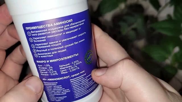 Вот благодаря чему у меня всегда коренастая низенькая рассада, жалею что раньше так не выращивала смотреть онлайн