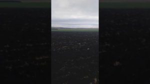 Два кировца на пахоте с прицепными плугами.