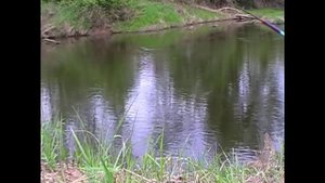 Боковой кивок, Иж