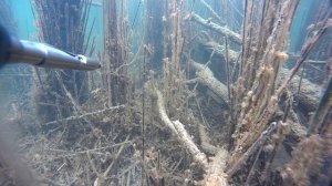 подводная охота караси и ..