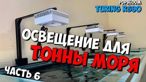 Часть 6 | Освещение для тонны | Морской аквариум на тонну