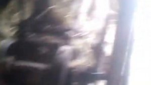 Старинная деревенская сечкарня резать солому , Дробилка для сена и соломы своими руками