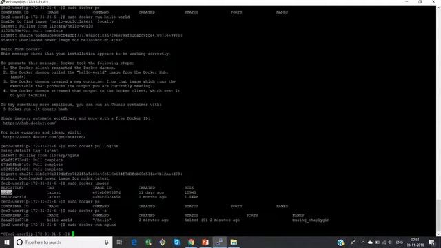 Install Docker on Linux Instance | Docker Tutorial For Beginners