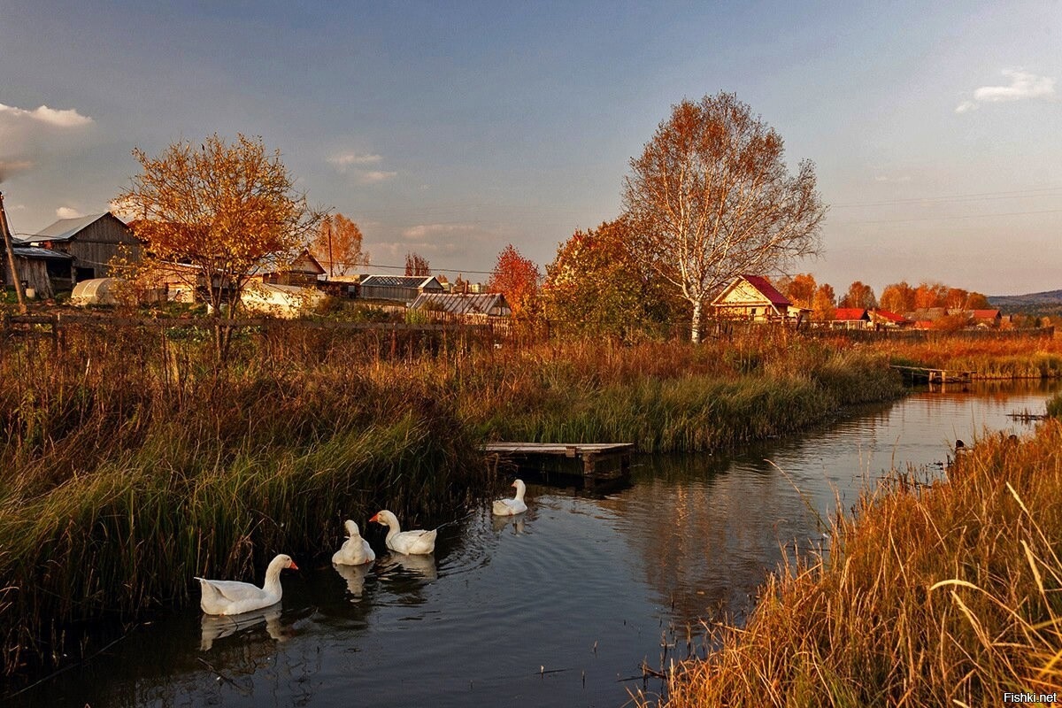 Очень красивое село. Осень в деревне. Деревня осенью. Деревенская осень. Красивая осень в деревне.