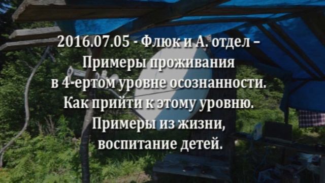 2016 07 05 ВС Примеры проживания в 4 ертом уровне развитости Как прийти к нему 2 смотреть онлайн